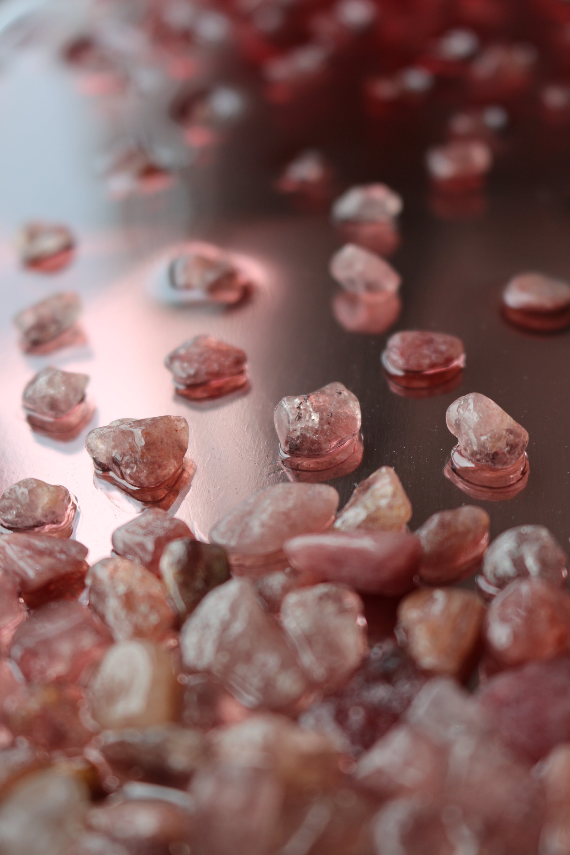 PORTAL: She who holds, she who grows